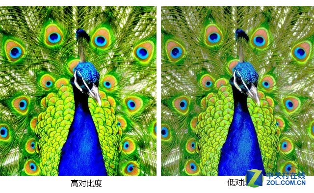 用數(shù)據(jù)說話 如何挑選一款優(yōu)質微型投影